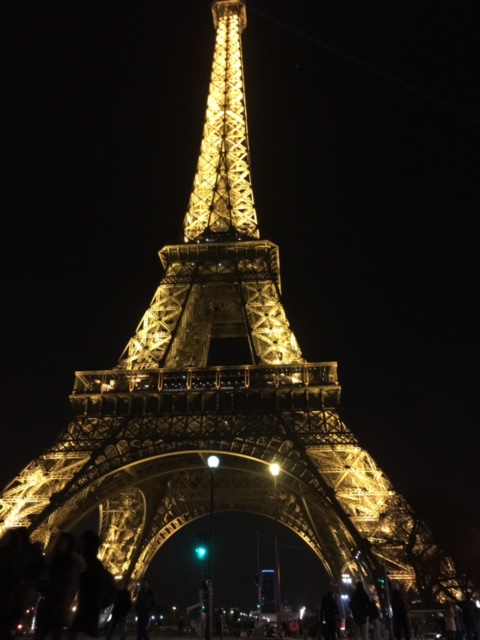 허니문 with 블루여행사