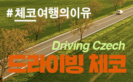 2024 드라이빙 체코